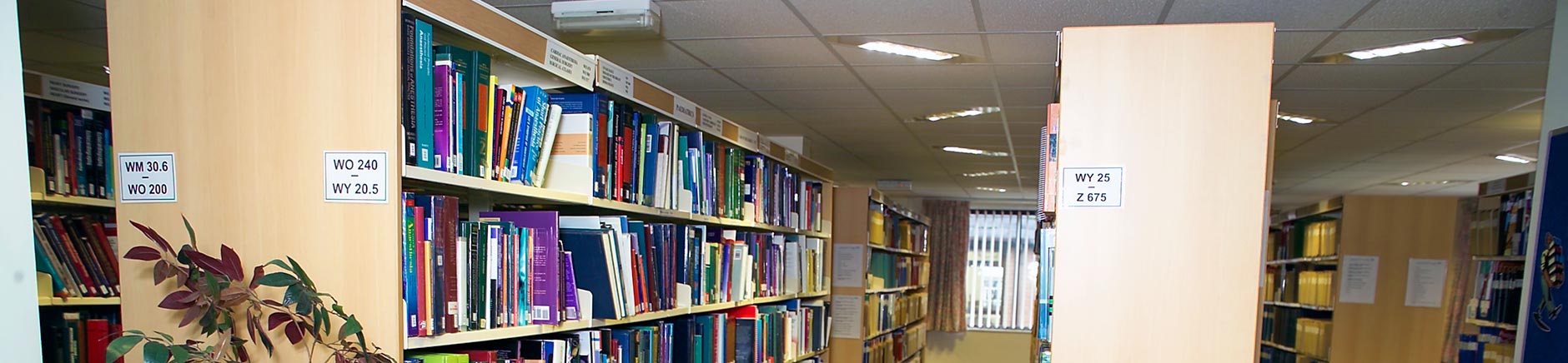 A shelf full of journals